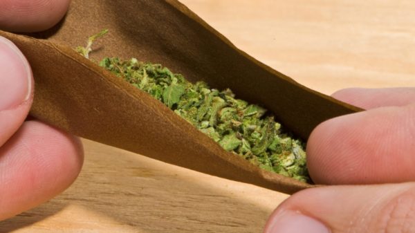 The Top 5 Best-Selling Hemp Wraps