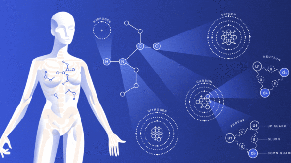 Role of elements in the human body