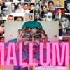 Mallumv